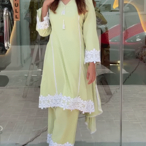 Pastel Green Embroidered 2-Piece Suit with White Lace Detailing – Elegant Ethnic Wear